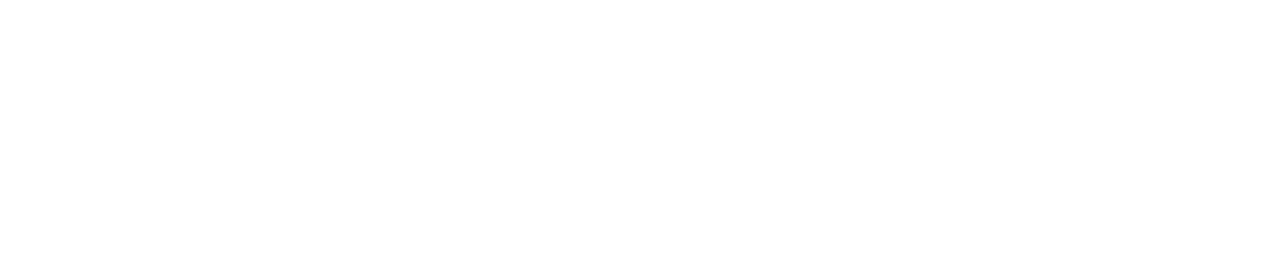 Levi Pessoa Logo